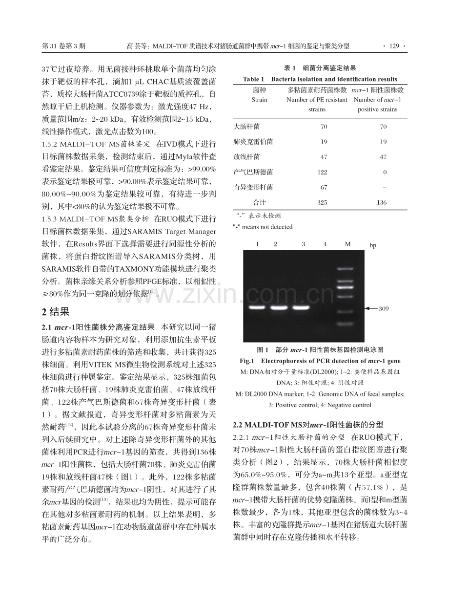 MALDI-TOF质谱技术对猪肠道菌群中携带mcr-1细菌的鉴定与聚类分型.pdf_第3页