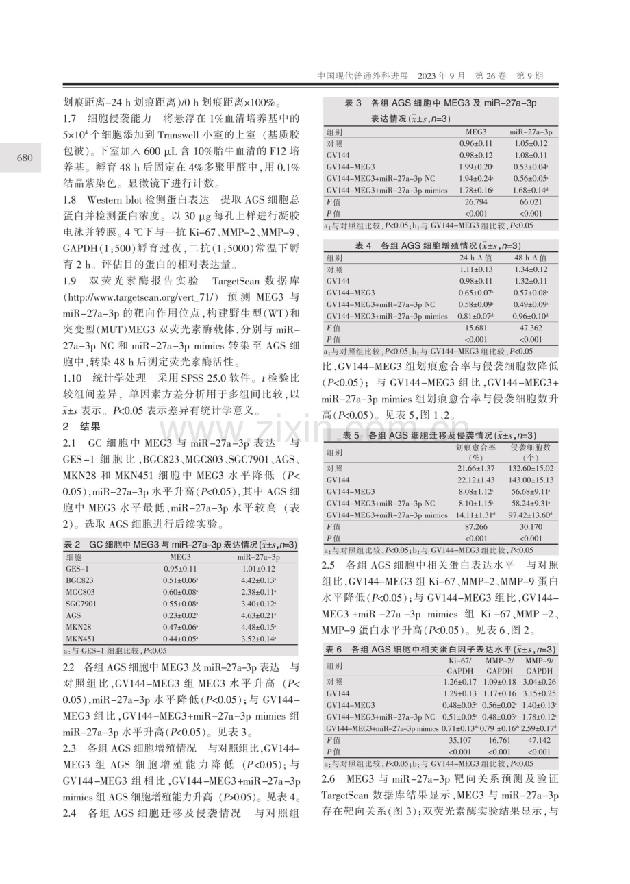 lncRNA MEG3靶向调节miR-27a-3p抑制胃癌细胞增殖、迁移和侵袭的实验研究.pdf_第3页