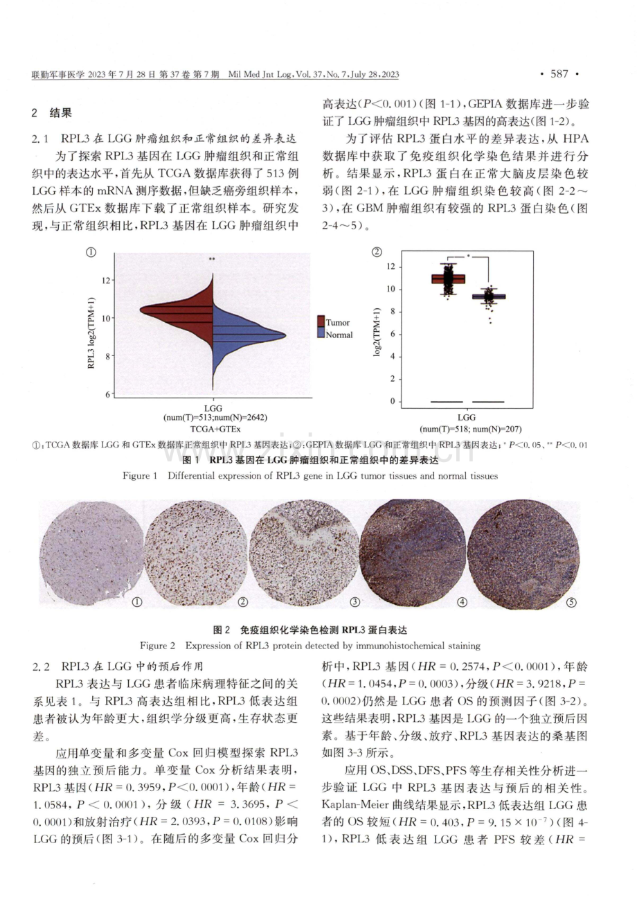 RPL3可作为低级别胶质瘤的预后标志物且与免疫细胞浸润相关.pdf_第3页