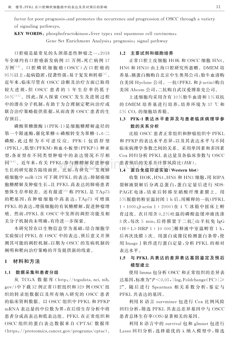 PFKL在口腔鳞状细胞癌中的表达及其对预后的影响.pdf_第2页