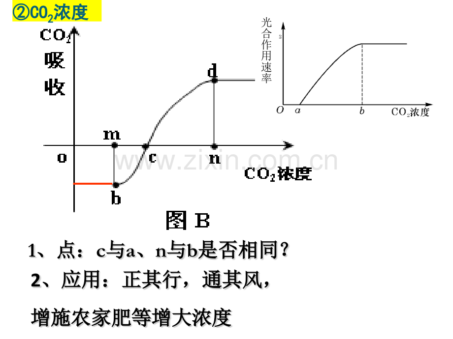 光合作用相关曲线.pptx_第3页