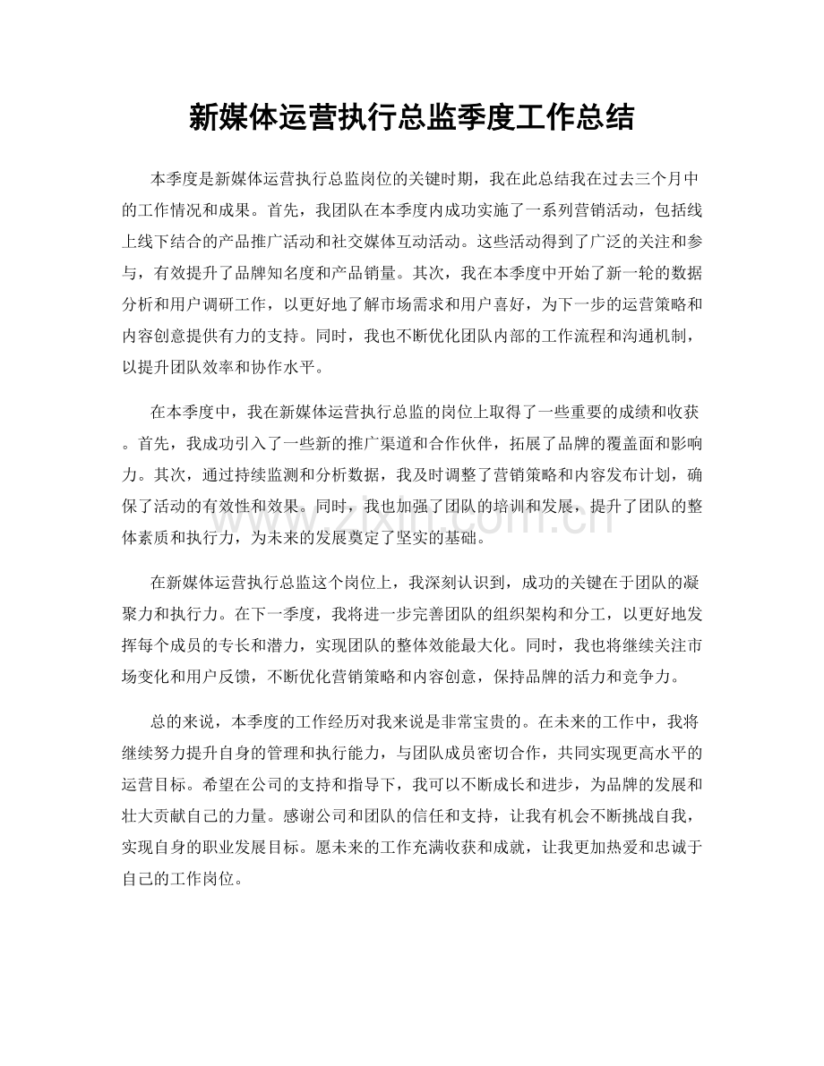 新媒体运营执行总监季度工作总结.docx_第1页