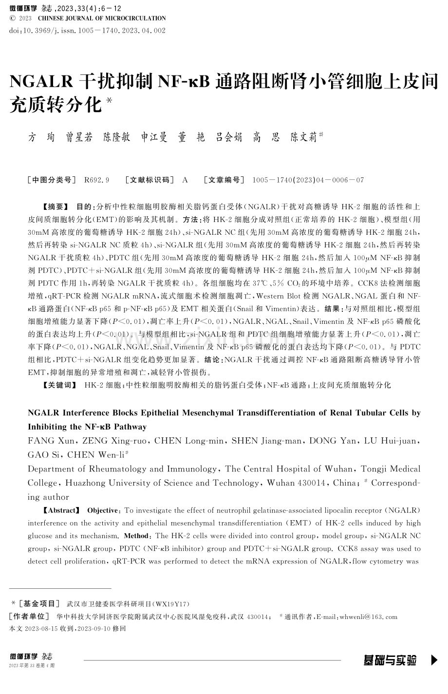 NGALR干扰抑制NF-κB通路阻断肾小管细胞上皮间充质转分化.pdf_第1页