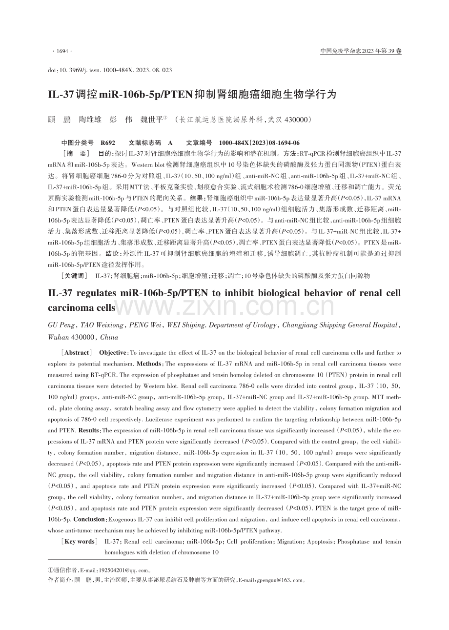 IL-37调控miR-106b-5p_PTEN抑制肾细胞癌细胞生物学行为.pdf_第1页