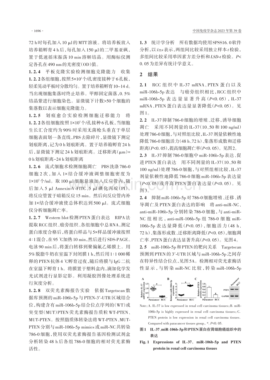 IL-37调控miR-106b-5p_PTEN抑制肾细胞癌细胞生物学行为.pdf_第3页