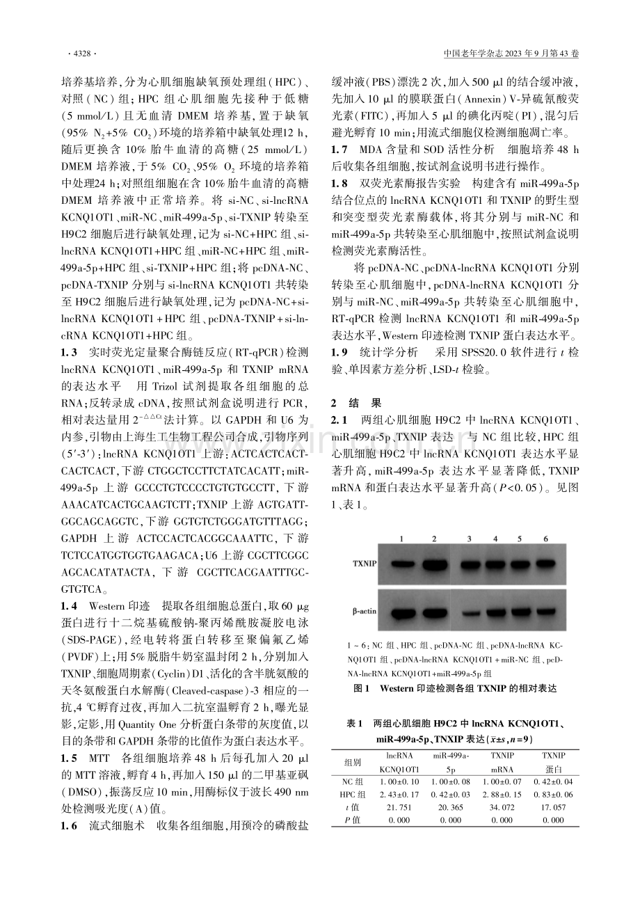 lncRNA KCNQ1OT1通过miR-499a-5p_TXNIP调控缺氧心肌细胞活性和凋亡的机制.pdf_第2页