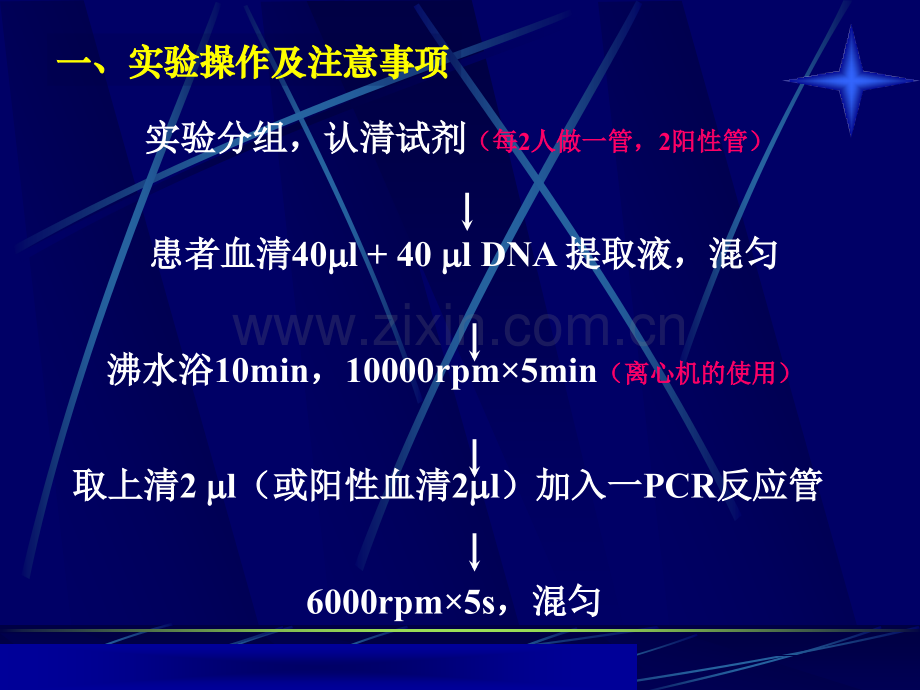 研究生高级生化技术.pptx_第2页