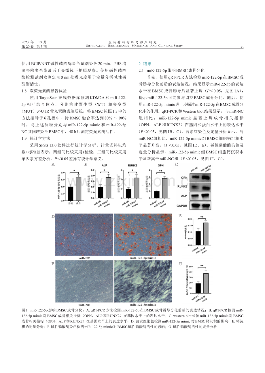 miR-122-5p靶向KDM2A对骨髓间充质干细胞成骨分化的影响.pdf_第3页