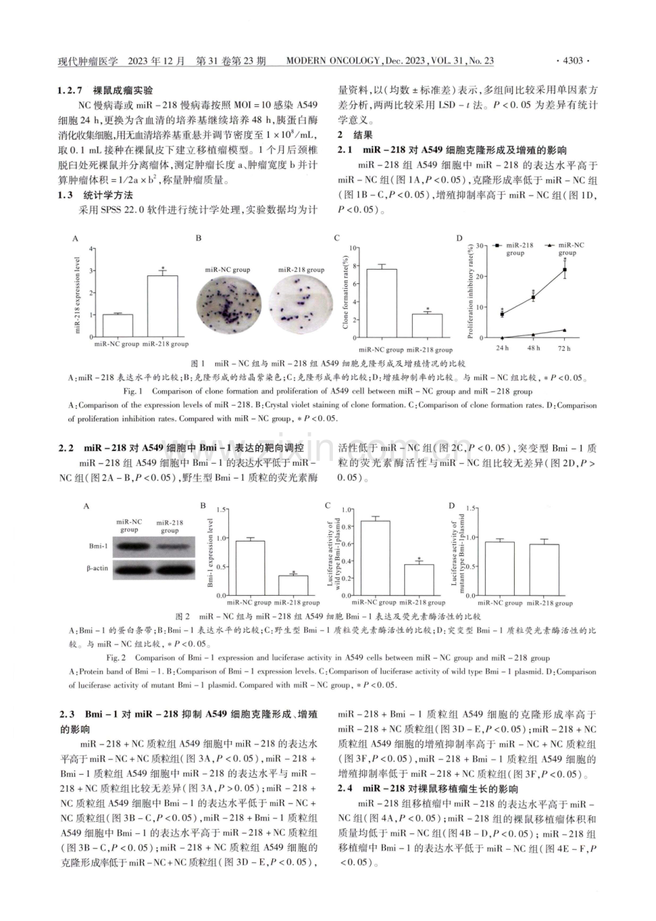 miR-218靶向Bmi-1抑制肺腺癌细胞增殖的机制探讨.pdf_第3页