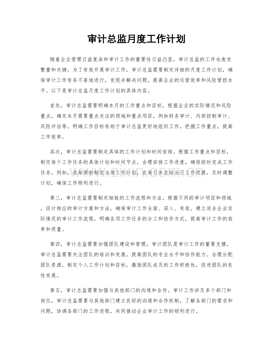 审计总监月度工作计划.docx_第1页