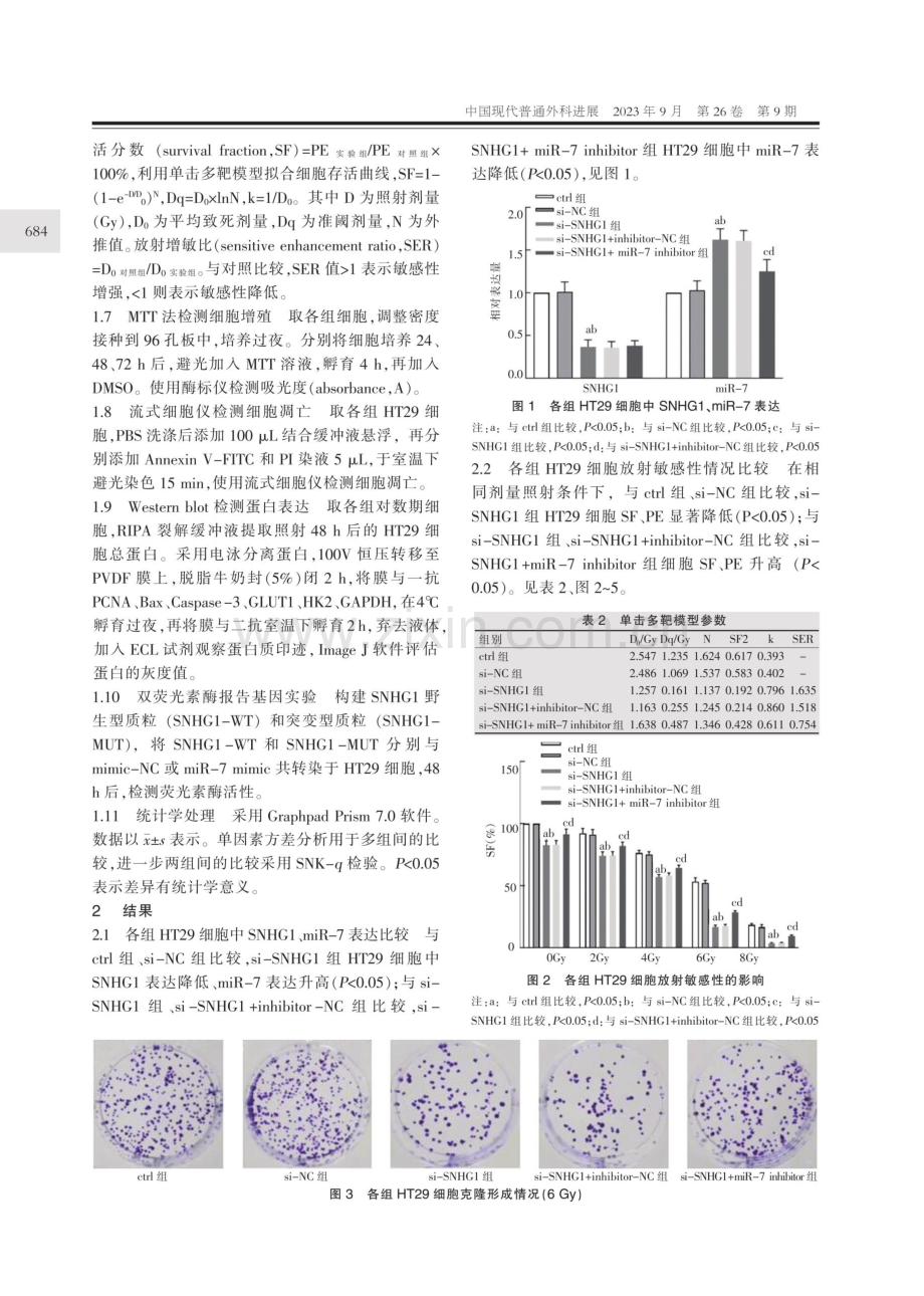 lncRNA SNHG1靶向miR-7对结直肠癌细胞放疗抵抗的影响.pdf_第3页