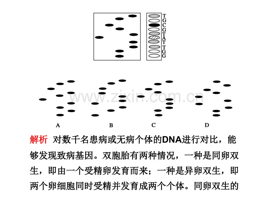 专题三创新题型.pptx_第3页