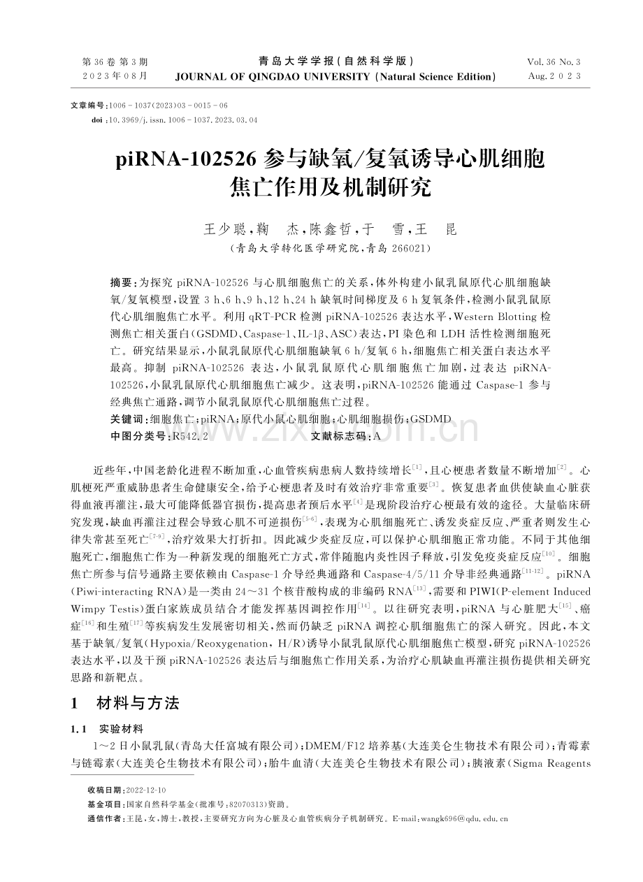 piRNA-102526参与缺氧_复氧诱导心肌细胞焦亡作用及机制研究.pdf_第1页