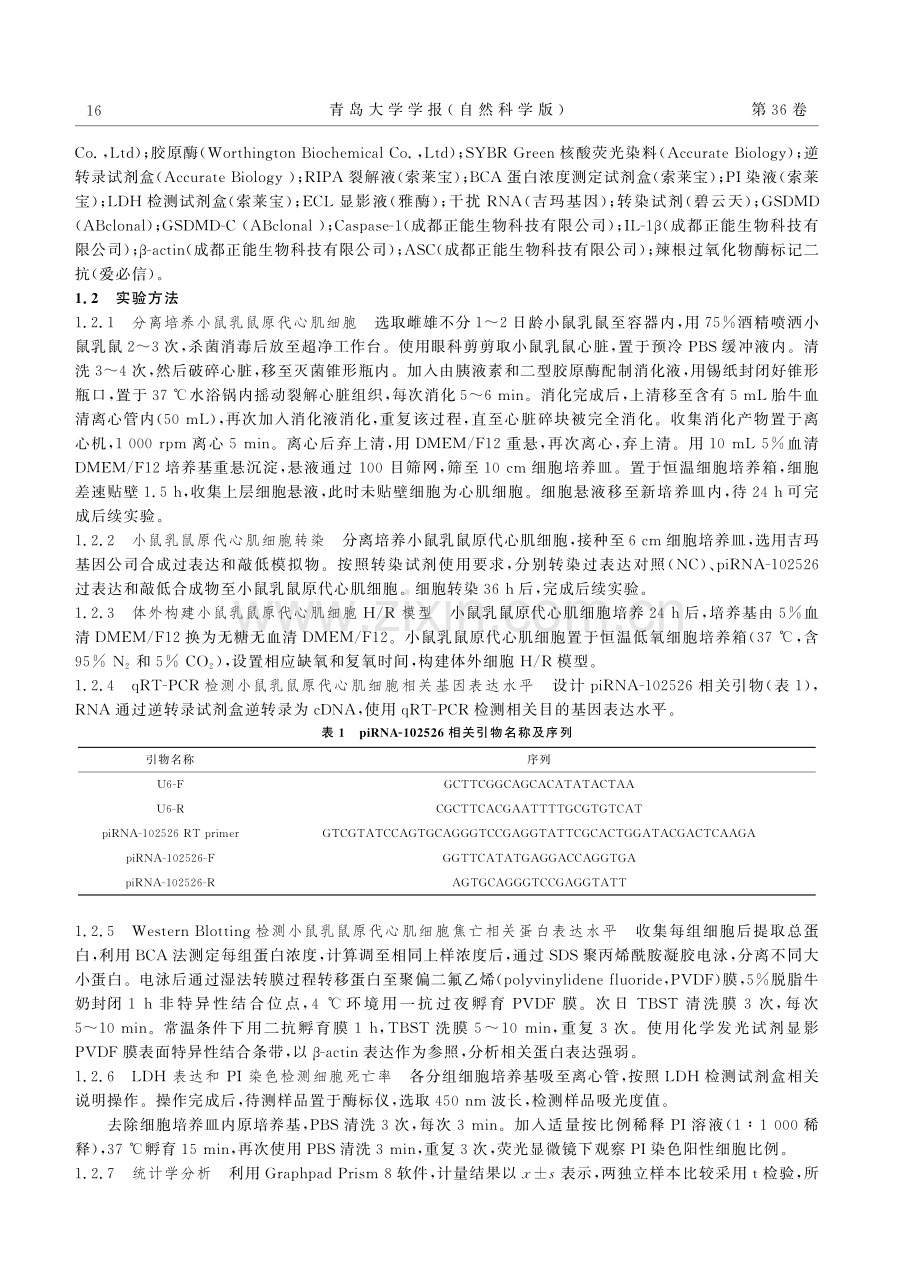 piRNA-102526参与缺氧_复氧诱导心肌细胞焦亡作用及机制研究.pdf_第2页