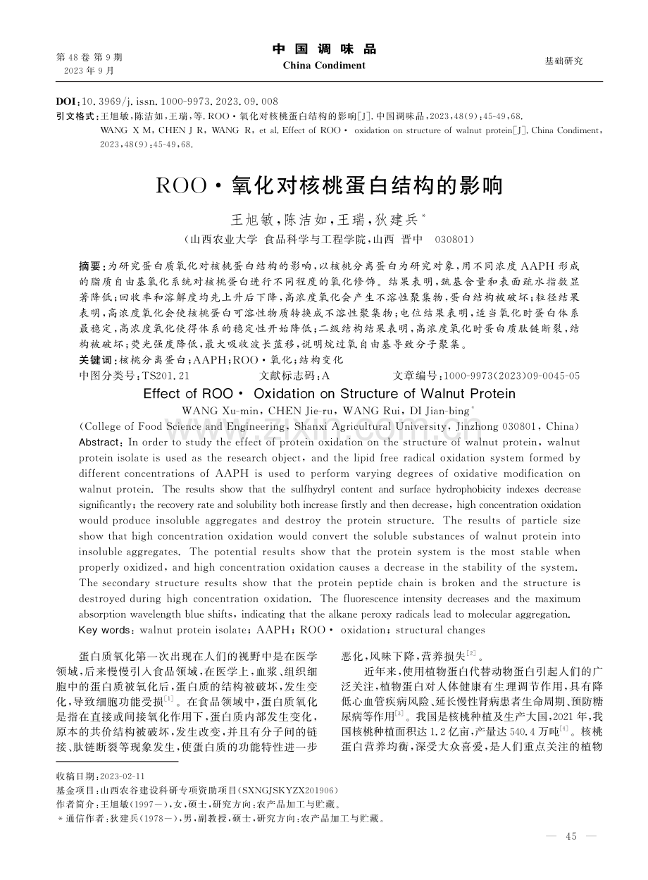 ROO·氧化对核桃蛋白结构的影响.pdf_第1页