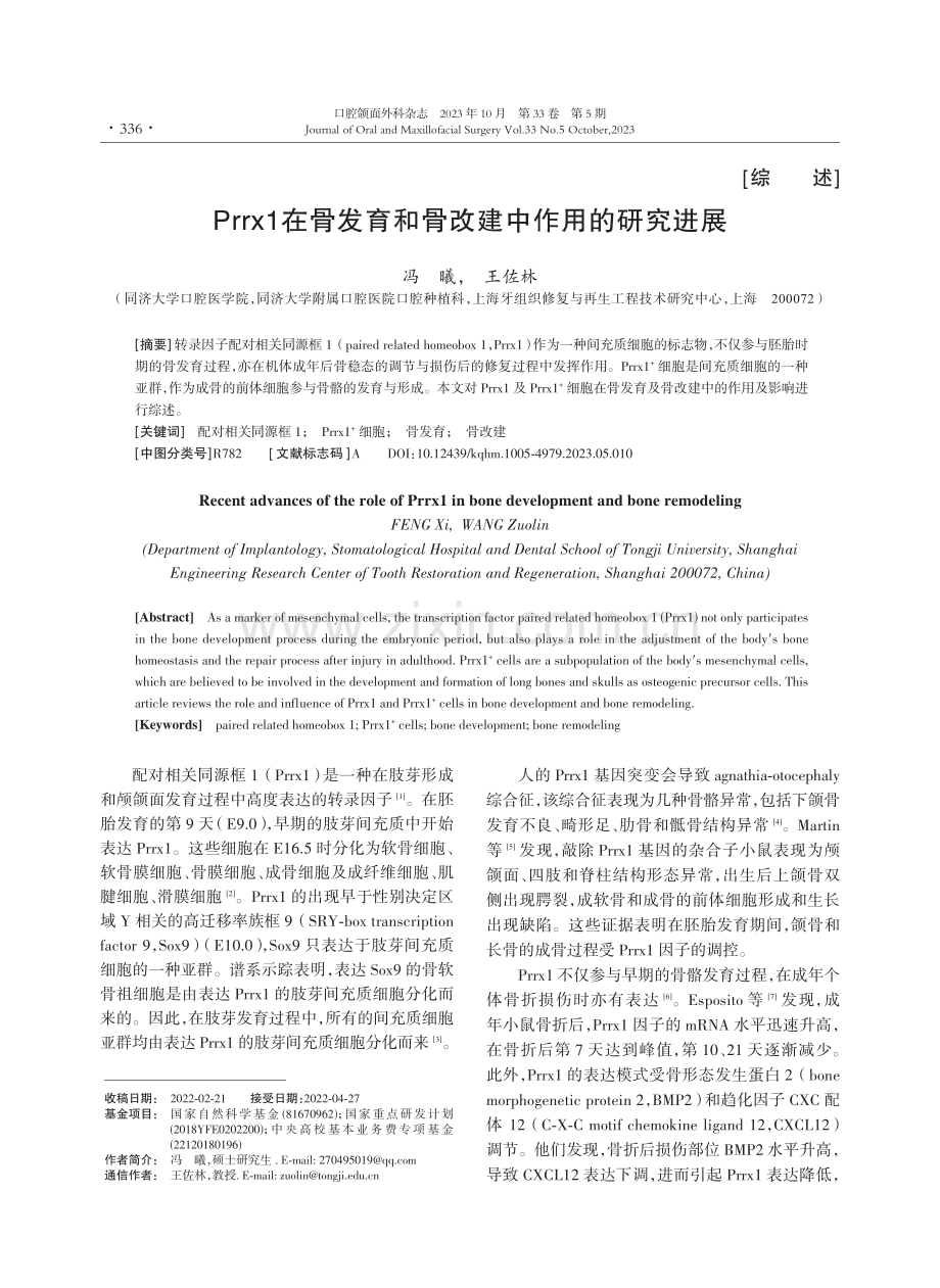 Prrx1在骨发育和骨改建中作用的研究进展.pdf_第1页