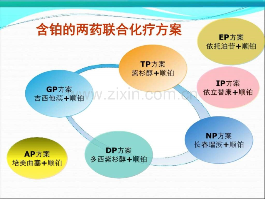 非小细胞肺癌NSCLC靶向治疗新进展.pptx_第3页