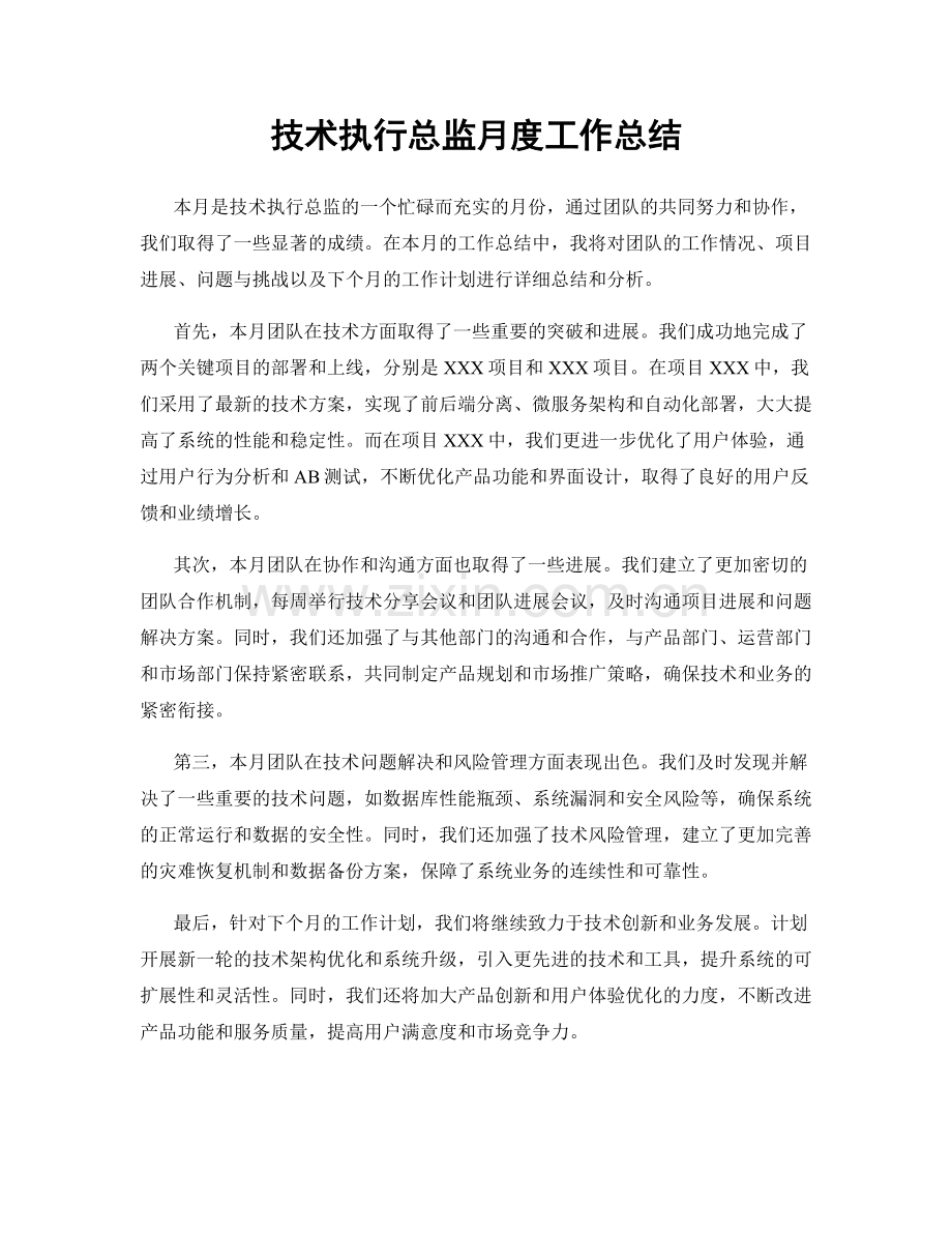 技术执行总监月度工作总结.docx_第1页