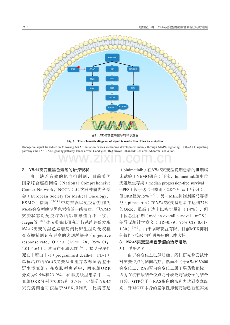 NRAS突变型晚期黑色素瘤的治疗进展.pdf_第3页