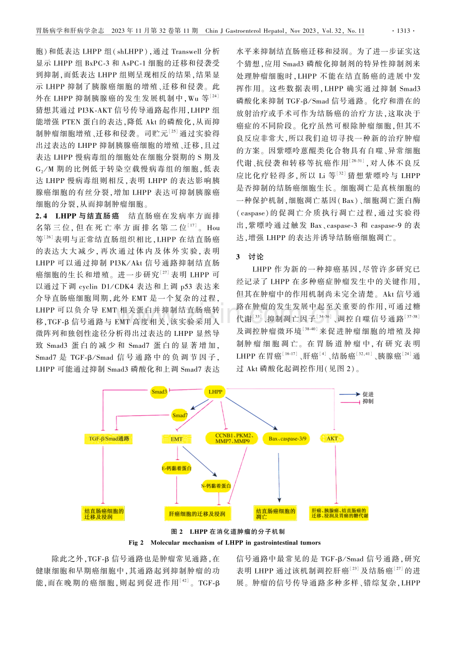 LHPP在消化系统肿瘤中的研究进展.pdf_第3页