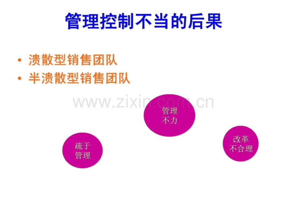 销售团队管理20.pptx_第3页