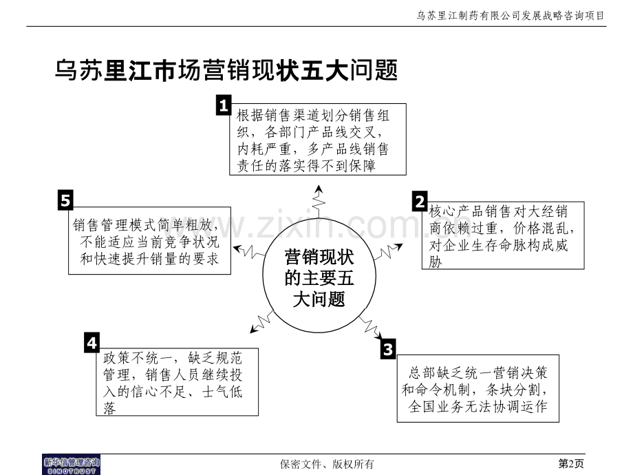 新华信咨询专题战略乌苏里江制药营销战略.pptx_第2页