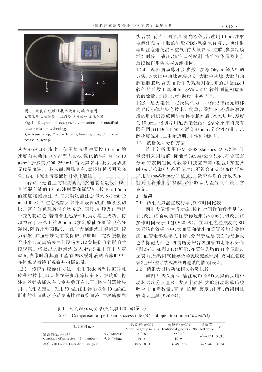 SD大鼠乳胶灌注脑动脉可视化技术的改良.pdf_第2页