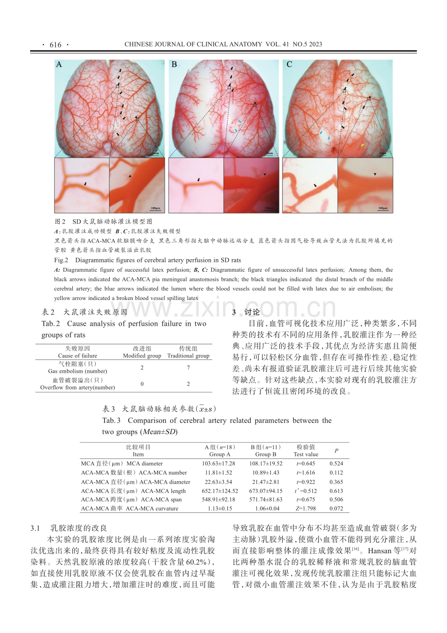 SD大鼠乳胶灌注脑动脉可视化技术的改良.pdf_第3页