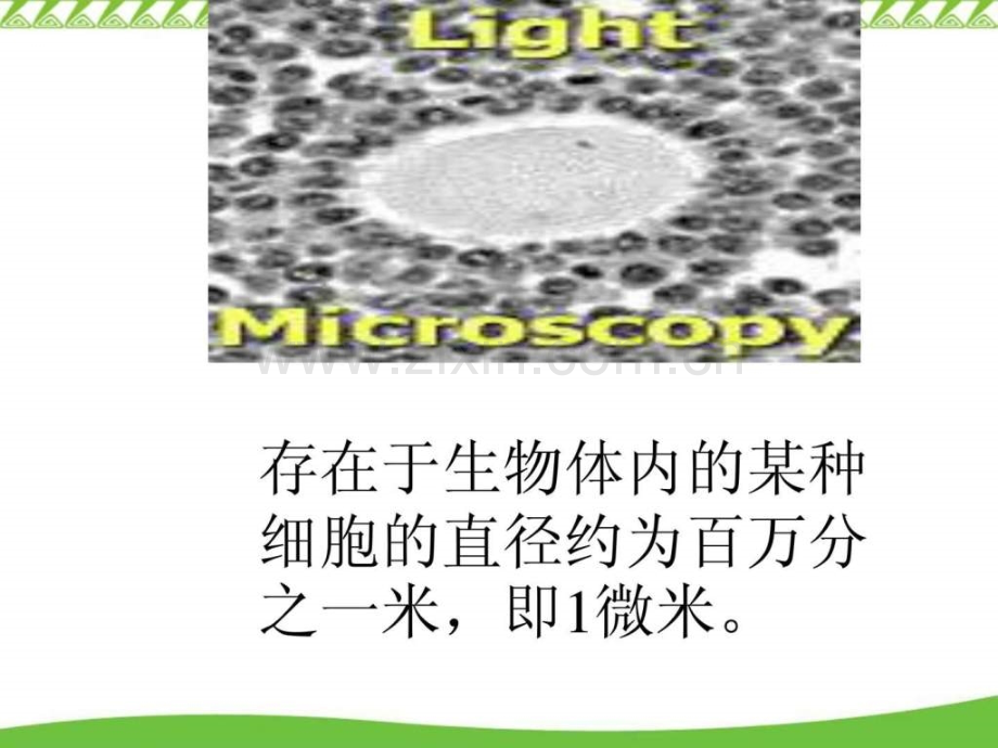 存在于生物体内的某种细胞的直径约为百万分之一米即1微.pptx_第2页