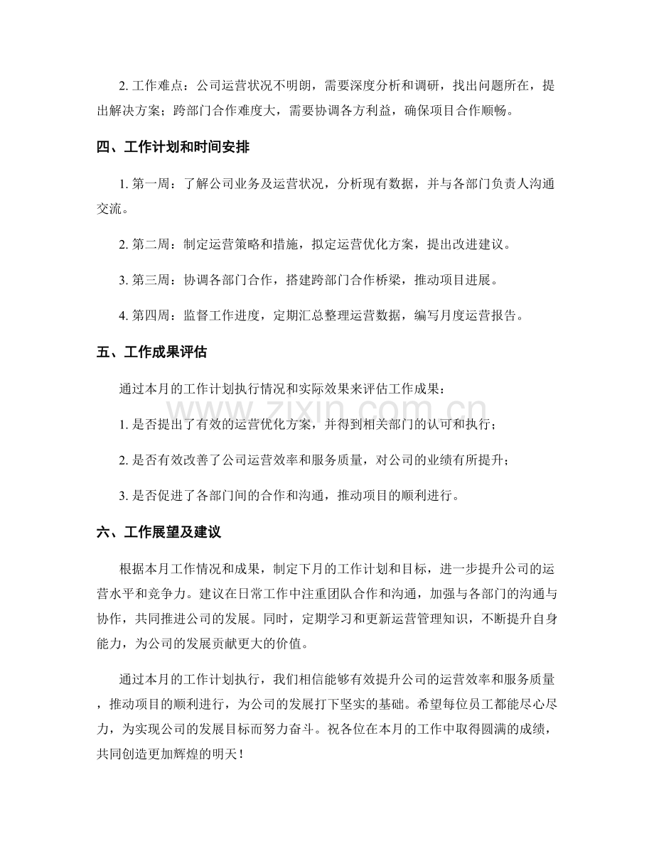 运营顾问月度工作计划.docx_第2页