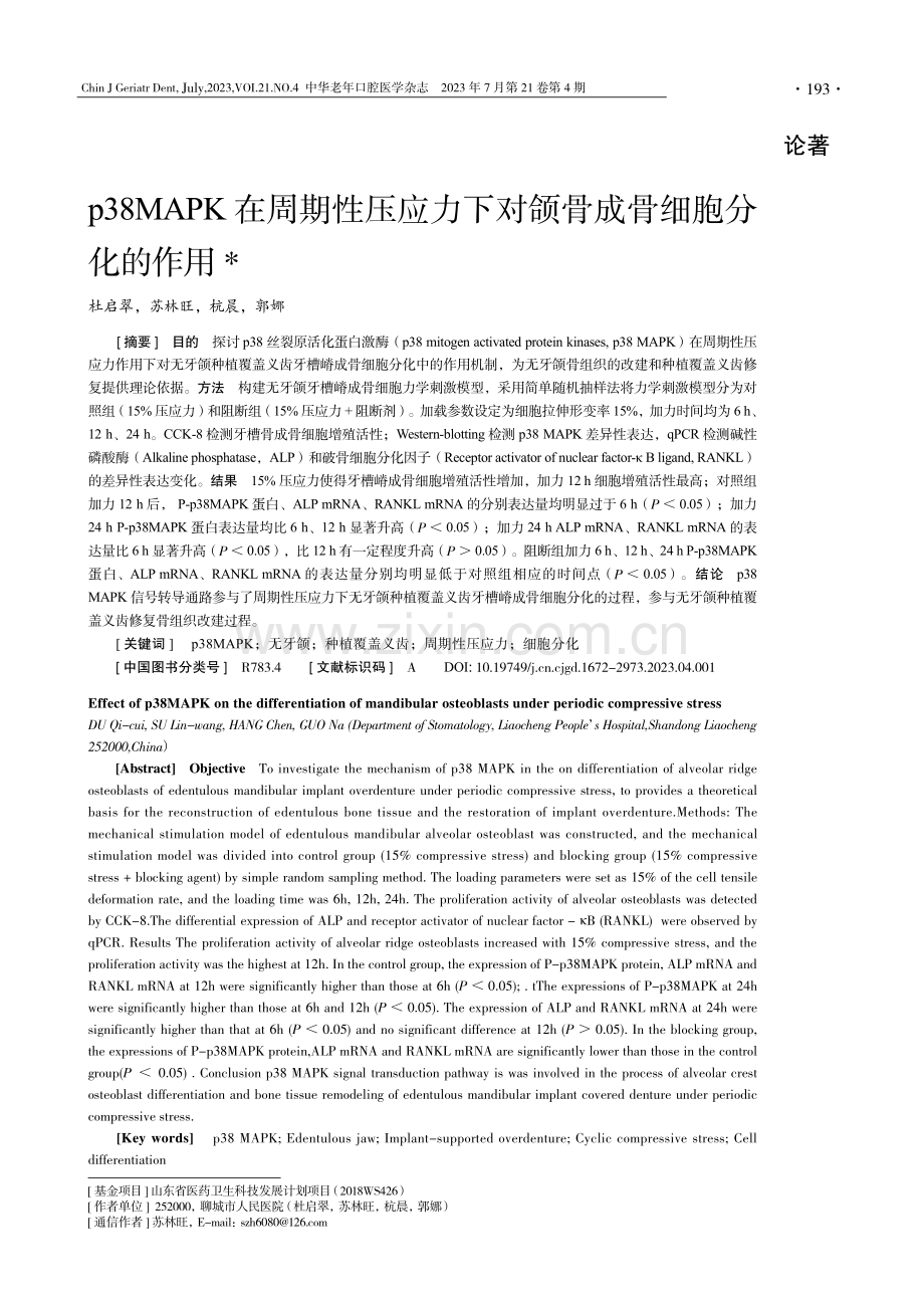 p38MAPK在周期性压应力下对颌骨成骨细胞分化的作用.pdf_第1页