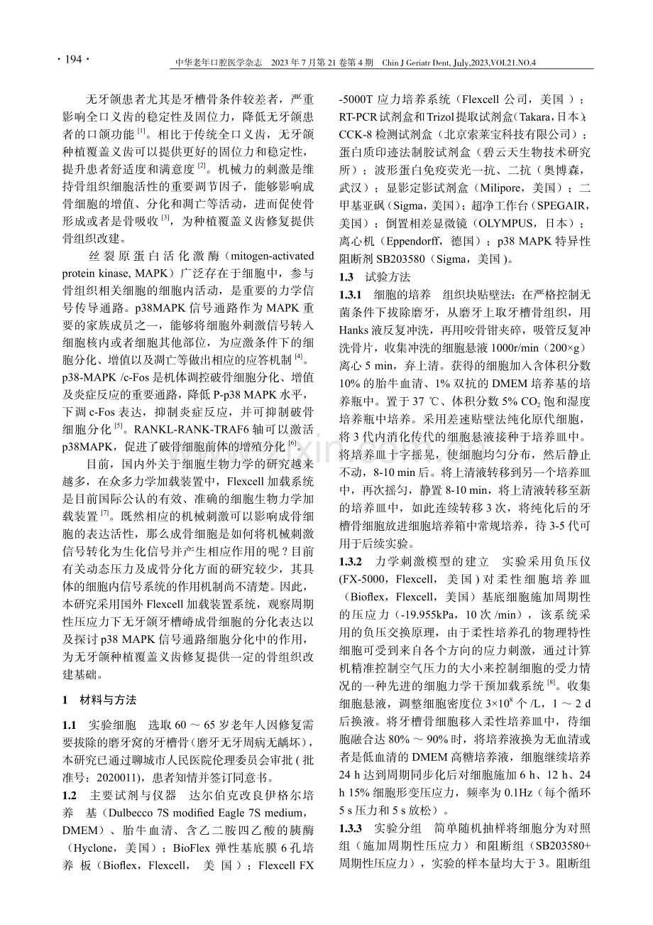 p38MAPK在周期性压应力下对颌骨成骨细胞分化的作用.pdf_第2页