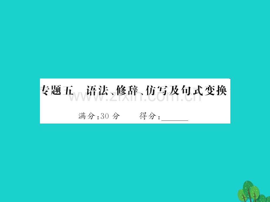 中考语文--写作训练-专题五-语法修辞仿写及句式变换.pptx_第1页