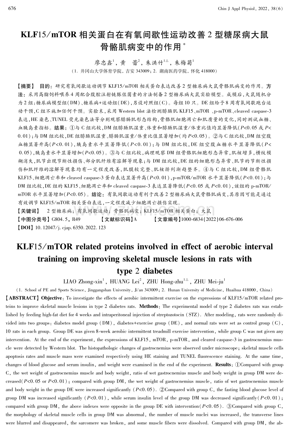 KLF15_mTOR相关蛋白在有氧间歇性运动改善2型糖尿病大鼠骨骼肌病变中的作用.pdf_第1页