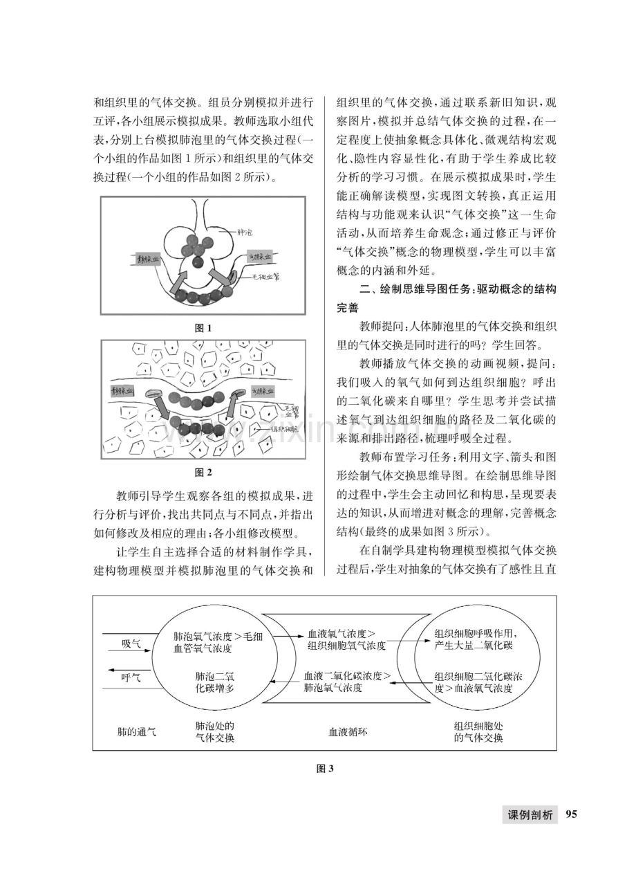 以任务驱动概念建构--《人体内的气体交换》一课教学与思考.pdf_第2页