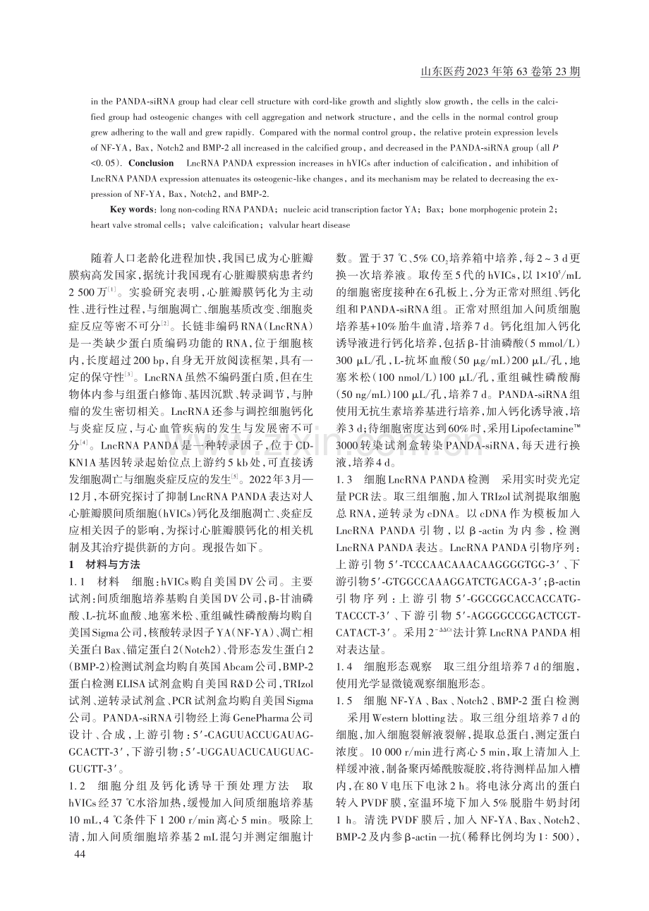 抑制LncRNA PANDA表达对人心脏瓣膜间质细胞钙化的改善作用及其机制.pdf_第2页