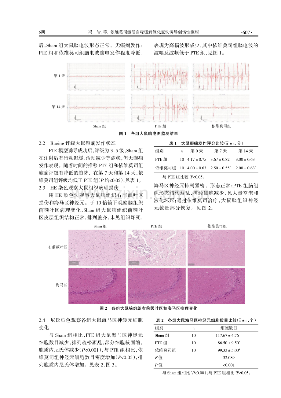 依维莫司激活自噬缓解氯化亚铁诱导创伤性癫痫.pdf_第3页