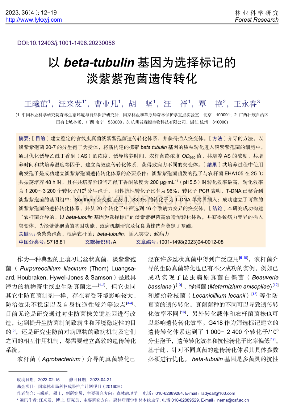 以beta-tubulin基因为选择标记的淡紫紫孢菌遗传转化.pdf_第1页