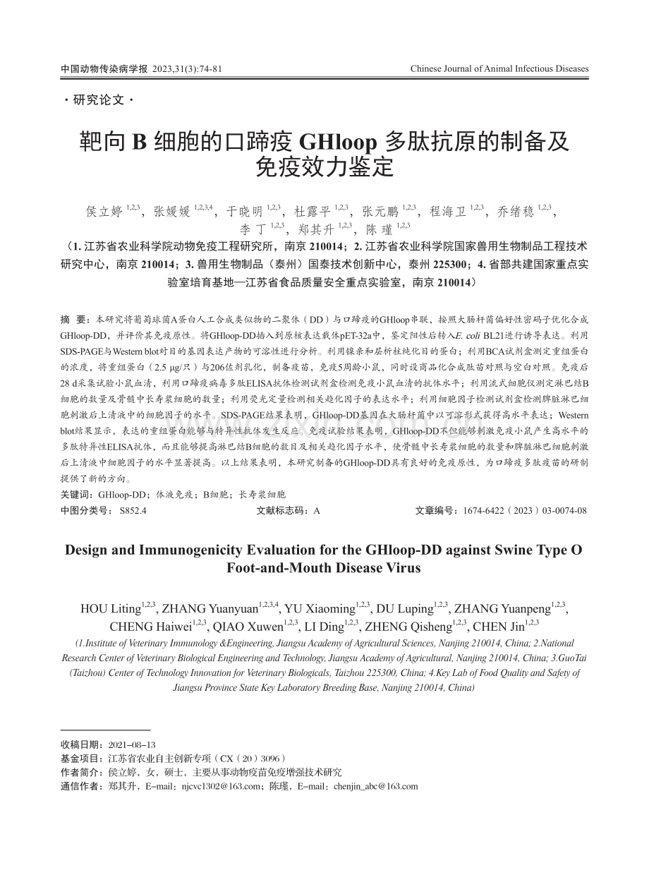 靶向B细胞的口蹄疫GHloop多肽抗原的制备及免疫效力鉴定.pdf_第1页