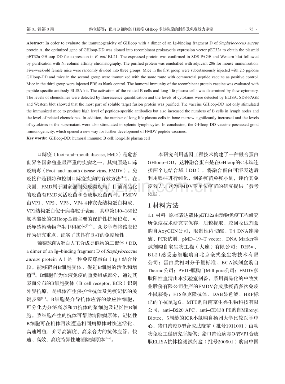 靶向B细胞的口蹄疫GHloop多肽抗原的制备及免疫效力鉴定.pdf_第2页