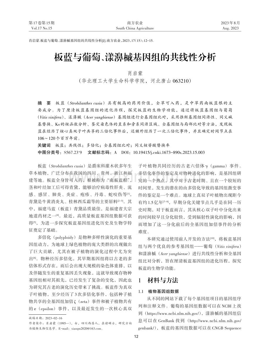 板蓝与葡萄、漾濞槭基因组的共线性分析.pdf_第1页