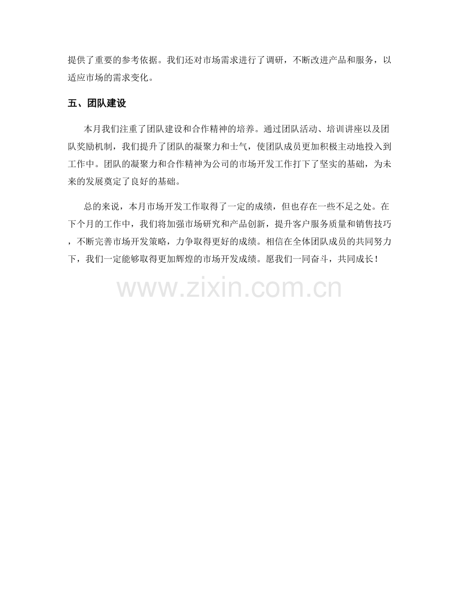 市场开发月度工作总结.docx_第2页