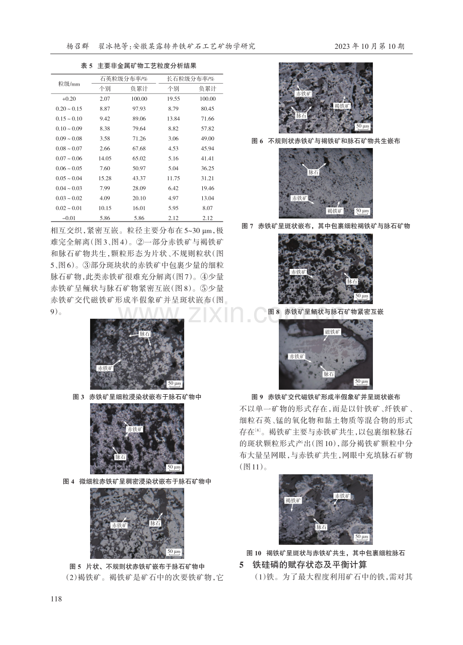 安徽某露转井铁矿石工艺矿物学研究.pdf_第3页