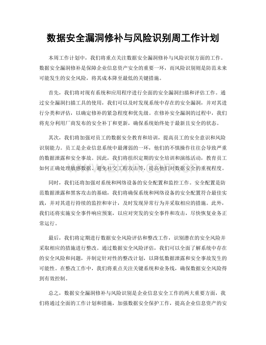 数据安全漏洞修补与风险识别周工作计划.docx_第1页