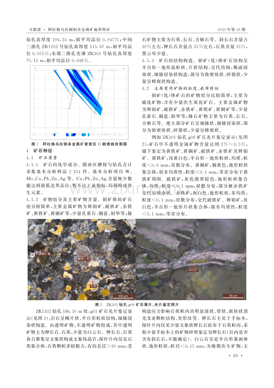 阿拉格乌拉铜钼多金属矿地质特征.pdf_第3页