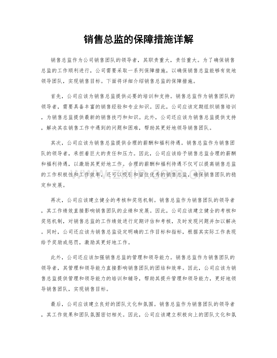 销售总监的保障措施详解.docx_第1页