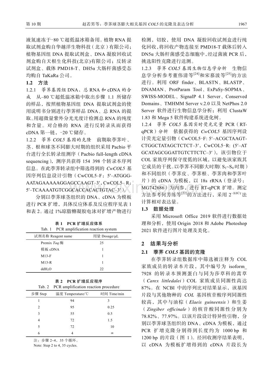 荸荠球茎膨大相关基因COL5的克隆及表达分析.pdf_第3页