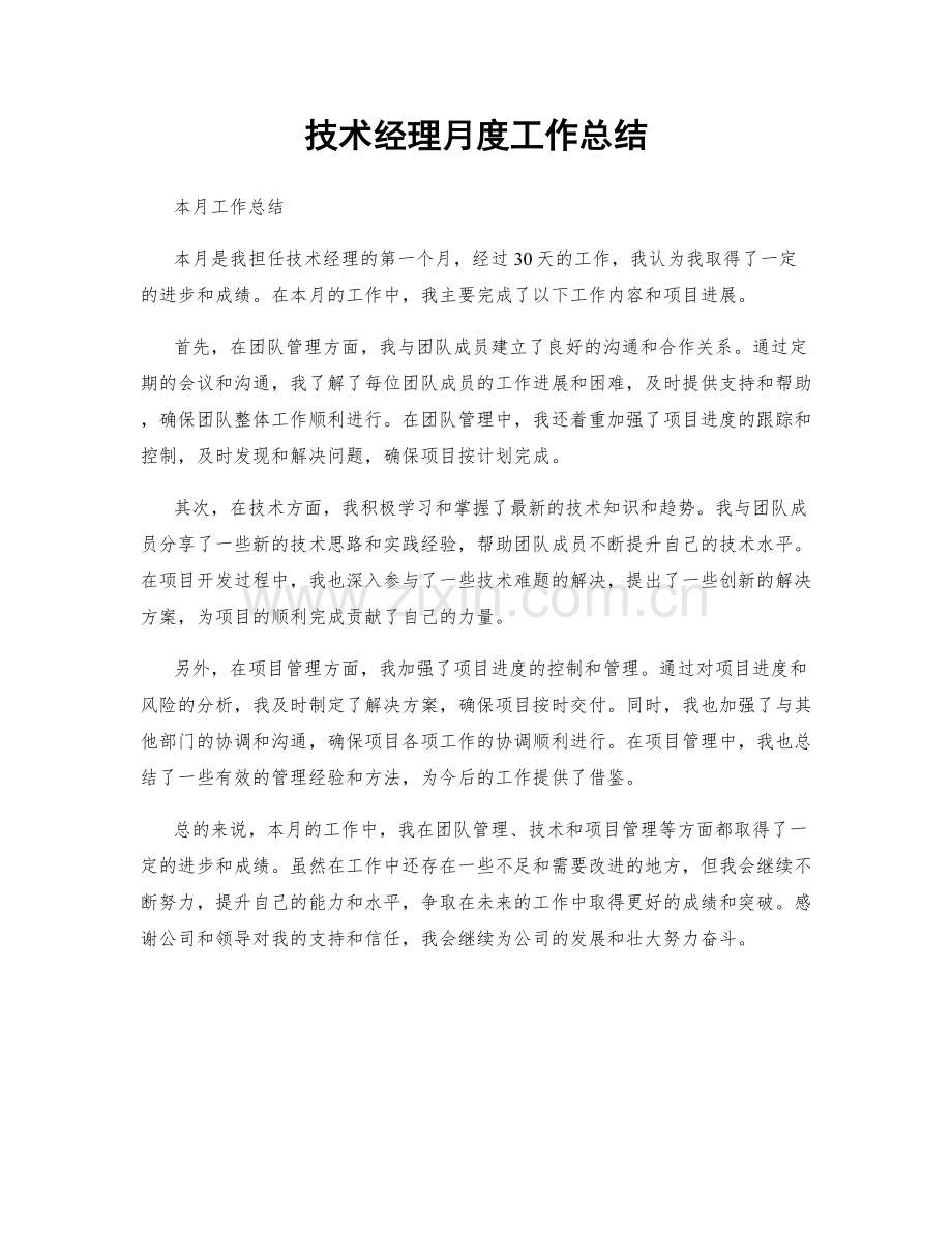 技术经理月度工作总结.docx_第1页