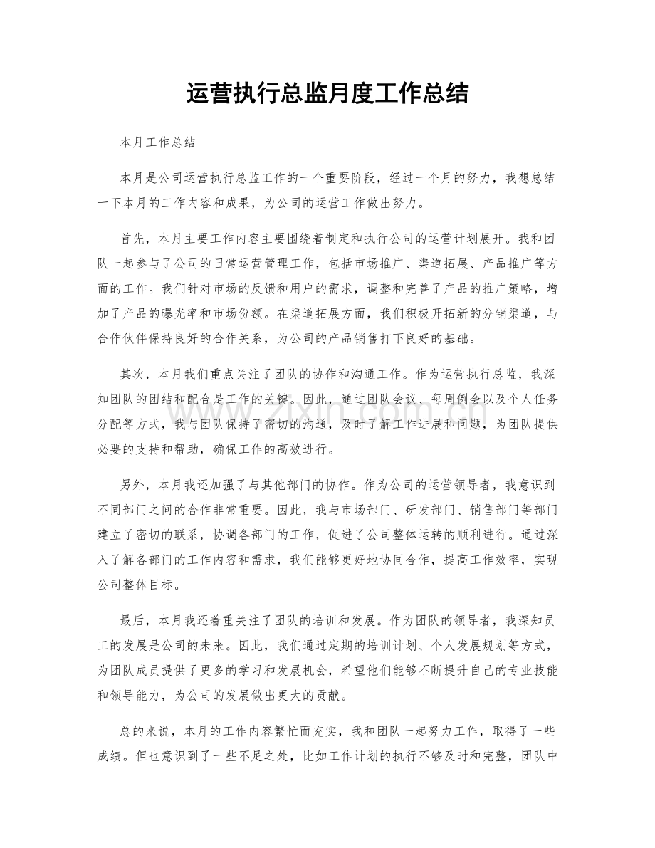 运营执行总监月度工作总结.docx_第1页