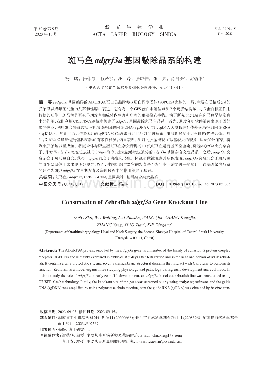 斑马鱼adgrf3a基因敲除品系的构建.pdf_第1页